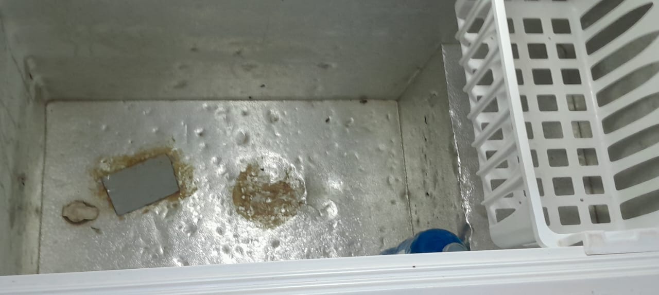 CONGELATEUR SMART ( FAST COOLING)