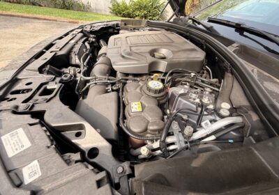 WhatsApp-Image-2026-01-28-at-8.04.32-AM